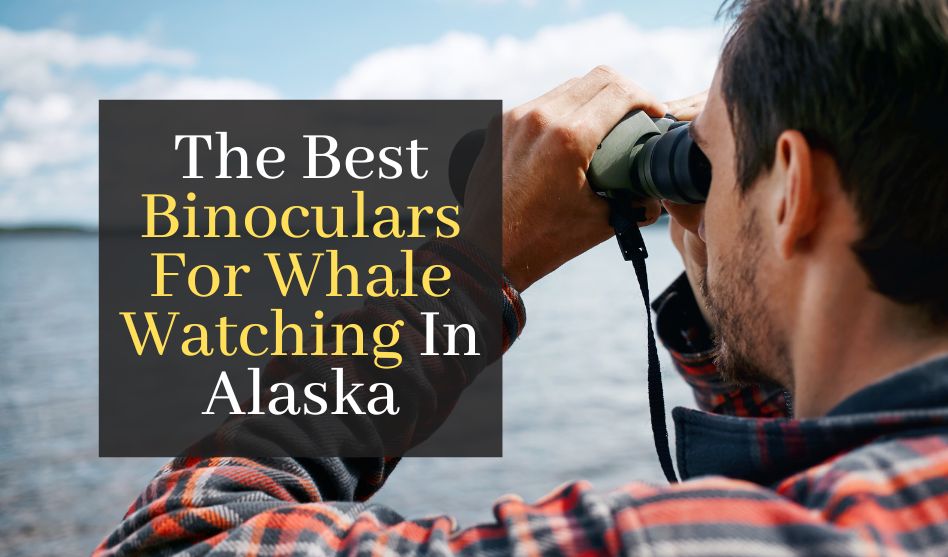 Best Binoculars For Whale Watching In Alaska