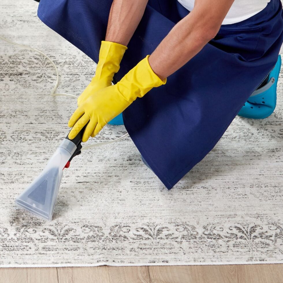 The Best Steam Cleaner For Carpets With Pets Luxury Awesome